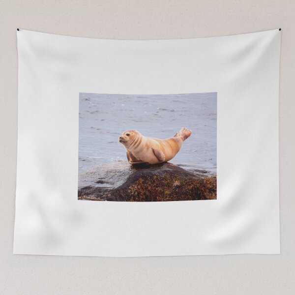 Item preview, Seal Rock designed and sold by JoeGeraci.