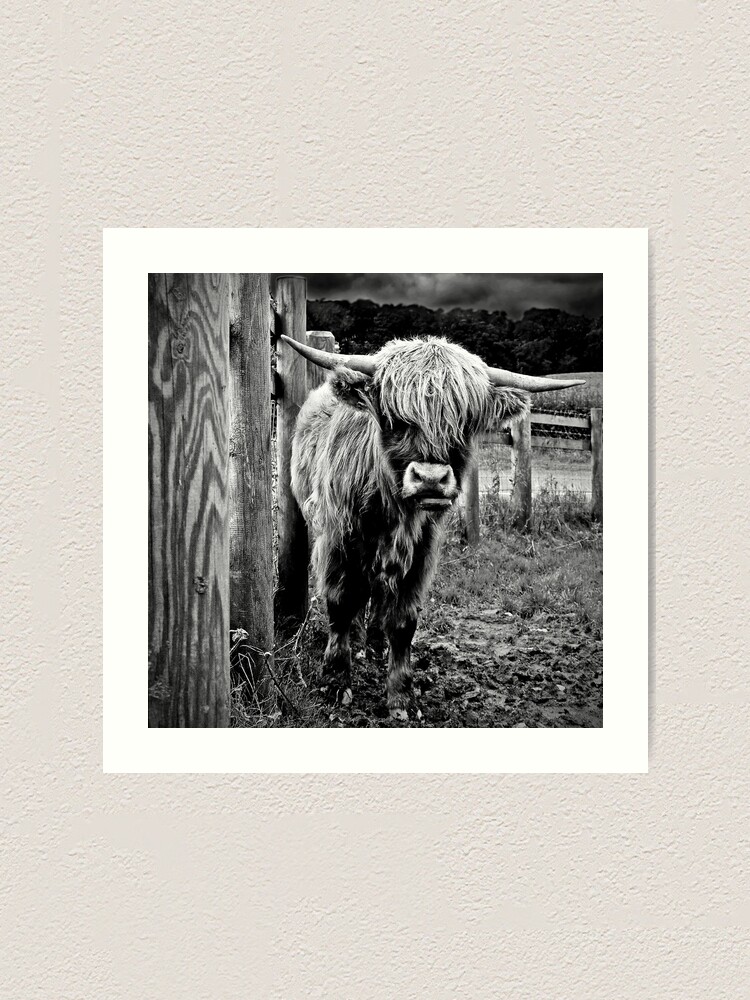 Thumbnail 1 of 3, Art Print, Monochrome Highlander designed and sold by Coigach.