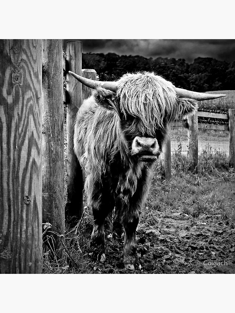 Thumbnail 3 of 3, Art Print, Monochrome Highlander designed and sold by Coigach.