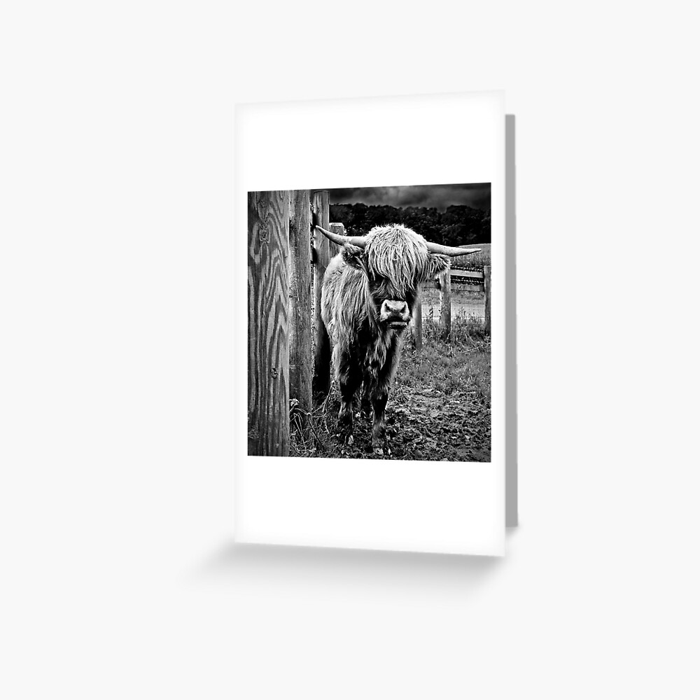 Item preview, Greeting Card designed and sold by Coigach.