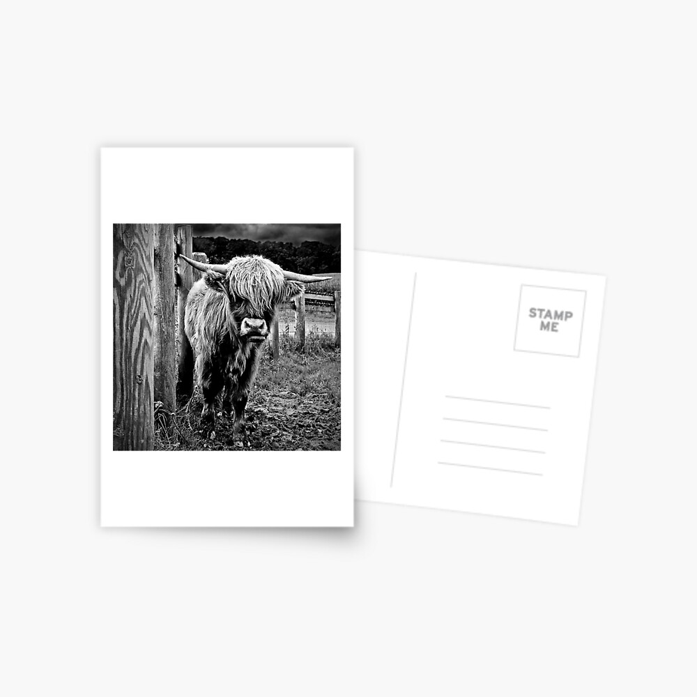 Item preview, Postcard designed and sold by Coigach.