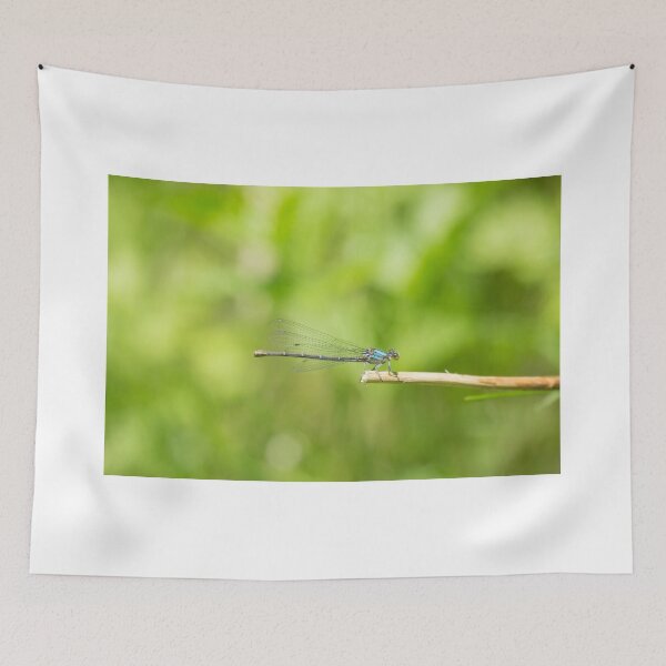 Item preview, Damsel  designed and sold by EugeJ.