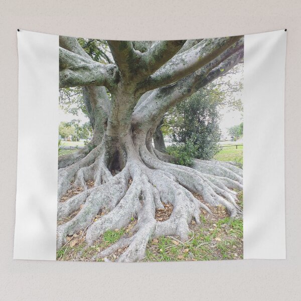 Item preview, Tree roots, Parakai, New Zealand designed and sold by sandysartstudio.