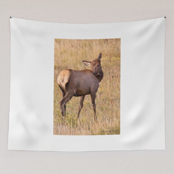 Item preview, Young Cow Elk designed and sold by TeresaB.