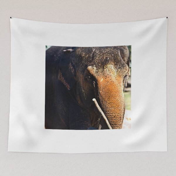 Item preview, Teacher designed and sold by miroslava.