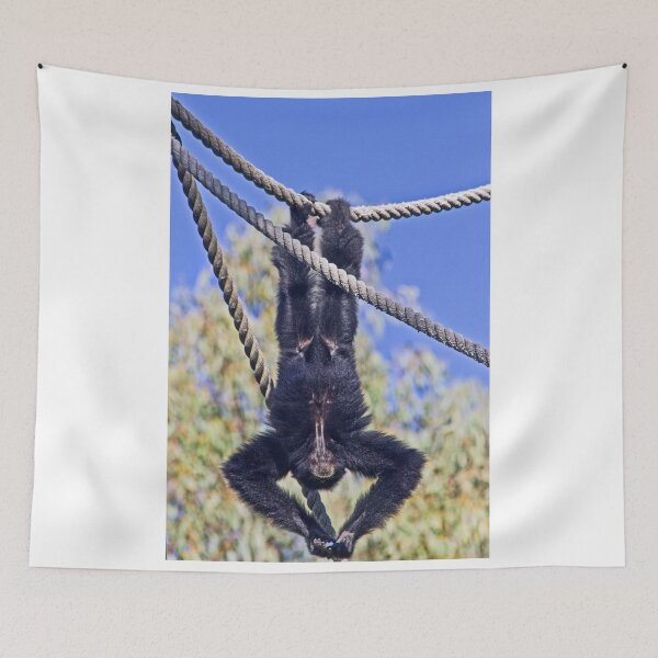 Item preview, Hanging designed and sold by miroslava.