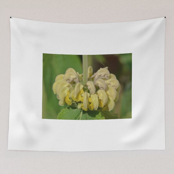 Item preview, Yellow fuzz flower designed and sold by Sandra Willis.