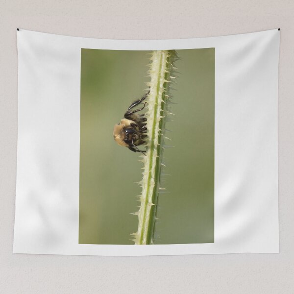 Item preview, Buzz Off! designed and sold by EugeJ.