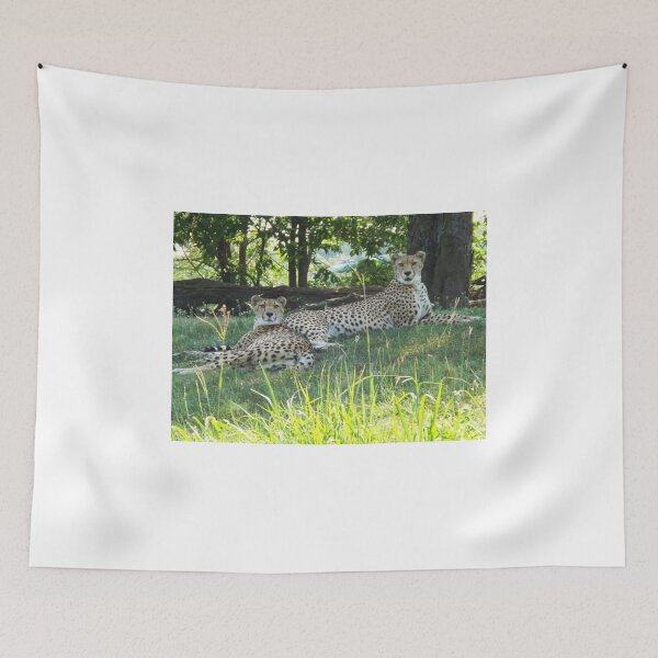 Item preview, Two Cheetahs Lounging in the Shade designed and sold by PhotosByTrish.