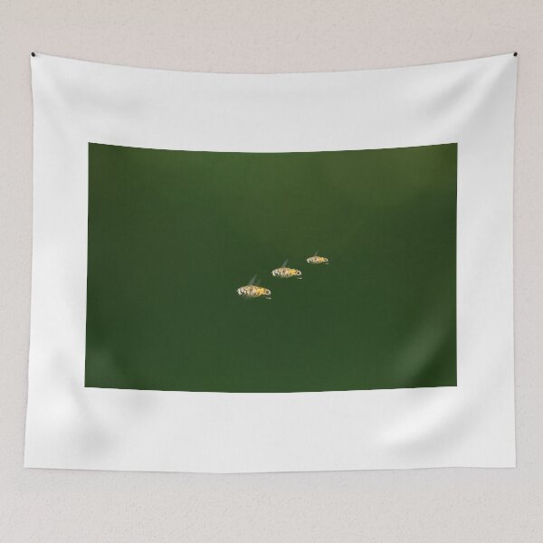 Item preview, Pan Am Games designed and sold by EugeJ.