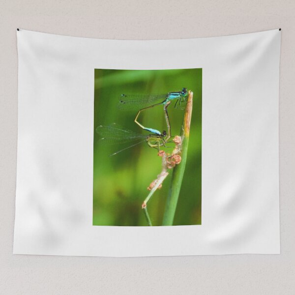 Item preview, Mating Damselflies at Mangerton Mill, Dorset UK designed and sold by lynn carter.