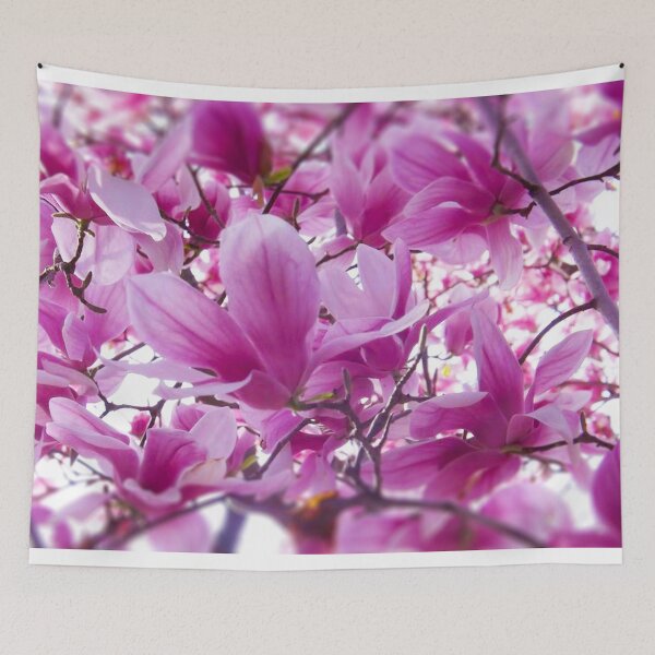 Item preview, Cherry Blossoms in Spring designed and sold by PhotosByTrish.