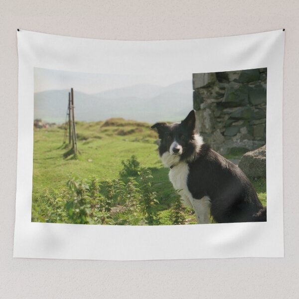 Item preview, My Young Indy designed and sold by Michael Haslam.