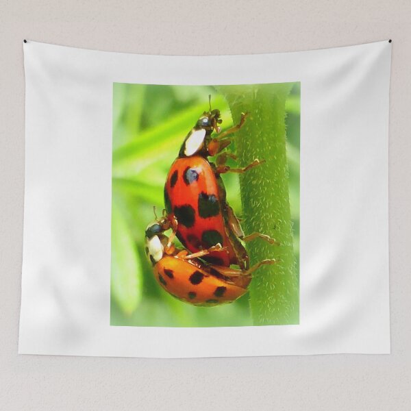Item preview, Love is in the air designed and sold by angel1.