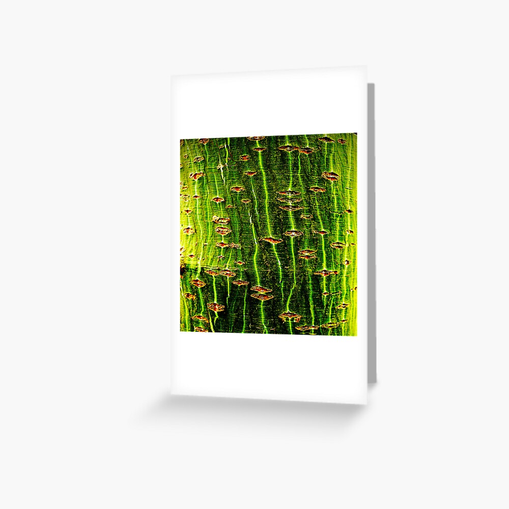 Item preview, Greeting Card designed and sold by Coigach.