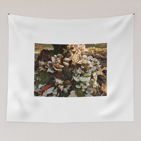 Item preview, My Favorite Fungus Tree designed and sold by WildestArt.
