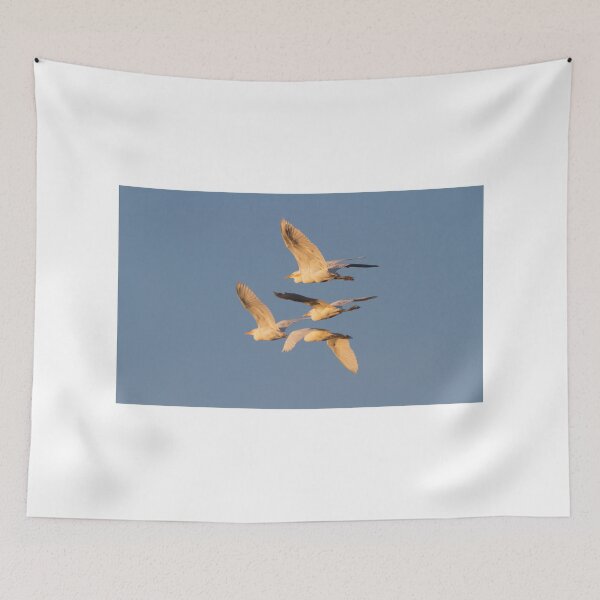 Item preview, Homeward To Roost designed and sold by byronbackyard.