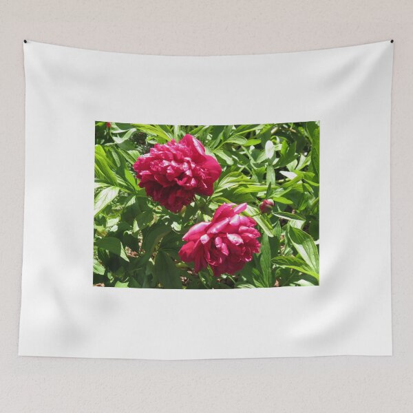Item preview, Sleeping in the Sun - Beautiful Crimson Blossoms designed and sold by SunriseRose.