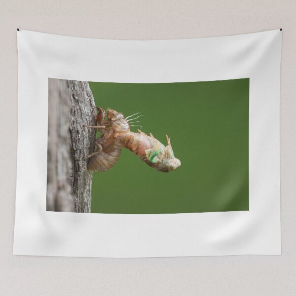 Item preview, The Awakening designed and sold by EugeJ.