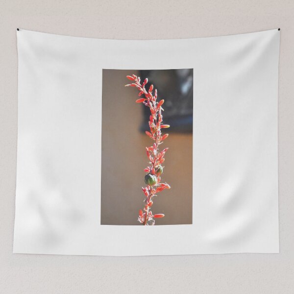 Item preview, A SINGLE STEM OF THE RED YUCCA CACTUS designed and sold by JAYMILO.