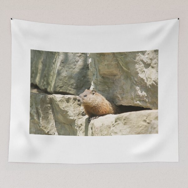 Item preview, Hello World designed and sold by EugeJ.