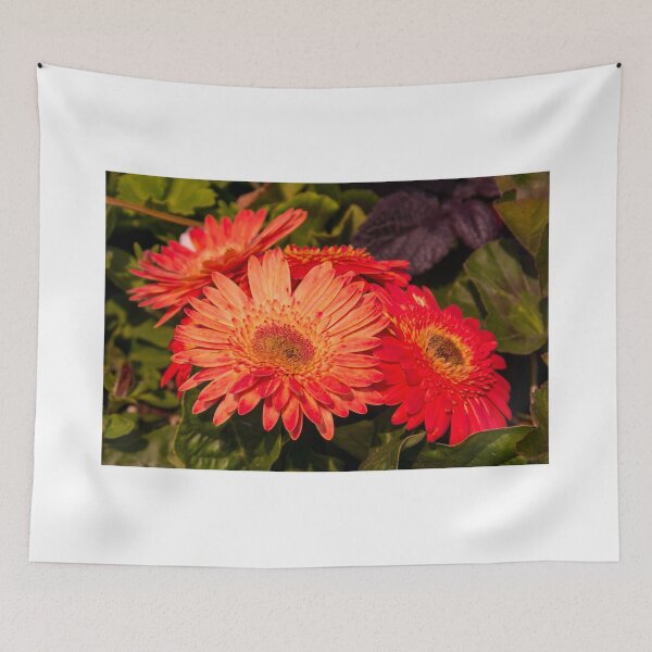 Item preview, June Garden 2 designed and sold by JoeGeraci.