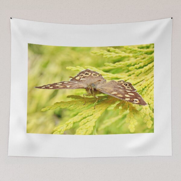Item preview, Speckled wood (Butterfly) designed and sold by AnnDixon.