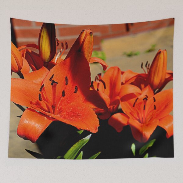 Aperçu de l'œuvre the colourful flowers that stand out  créée et vendue par StuartBoyd.