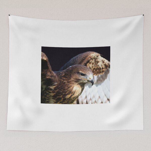 Item preview, Red Tailed Kite designed and sold by Clive.
