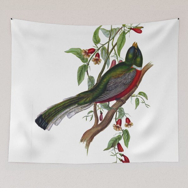 Item preview, The elegant trogon, trogon elegans designed and sold by marmur.