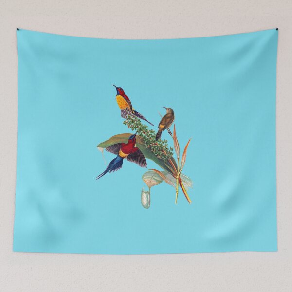 Item preview, The Mrs. Gould's sunbird (Aethopyga gouldiae) designed and sold by marmur.