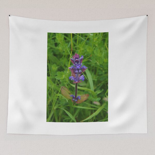 Item preview, Ajuga reptans - Bugle designed and sold by lezvee.