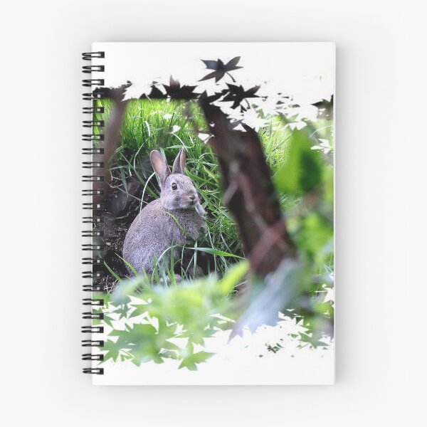 Item preview, Rabbit hiding in the long grass designed and sold by BryanDevon.