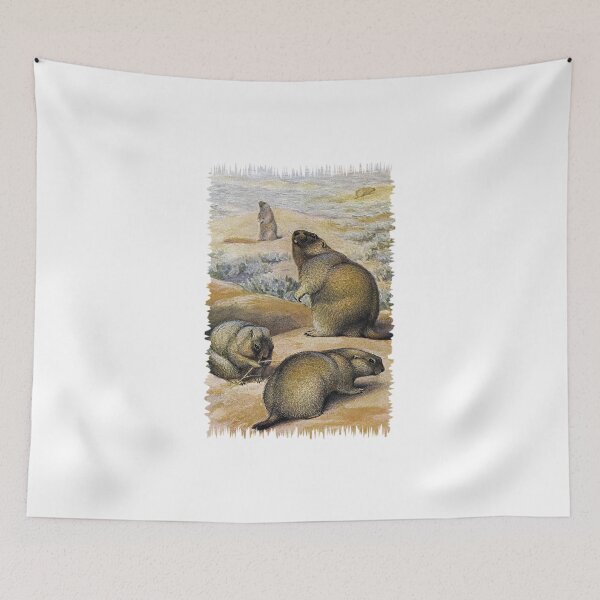 Item preview, Painting of The bobak marmot designed and sold by marmur.