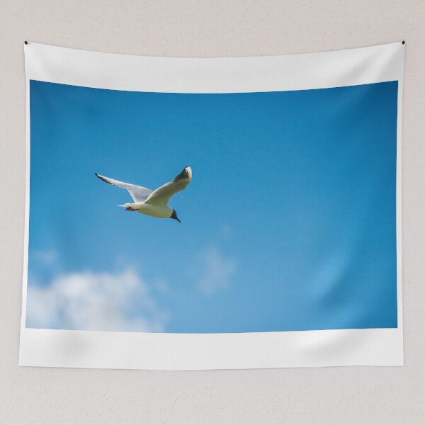 Item preview, Solitary Gull in flight designed and sold by Cameranick.