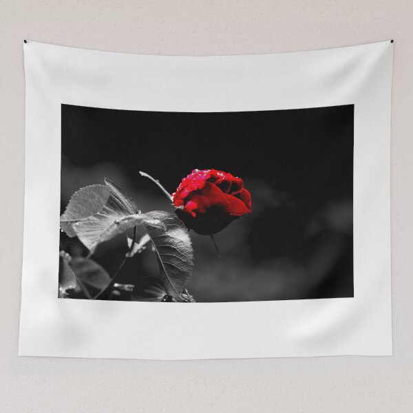 Item preview, Black White with a splash of red designed and sold by zihniophoto.