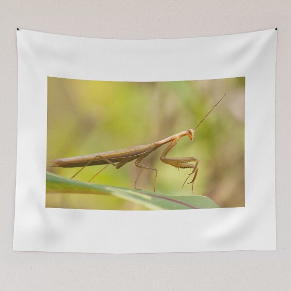 Item preview, Man 'Tis Is Cool designed and sold by EugeJ.