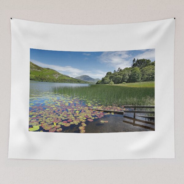 Item preview, Loweswater Lake shore in summer from Holme Wood English Lake District designed and sold by Martin Lawrence.