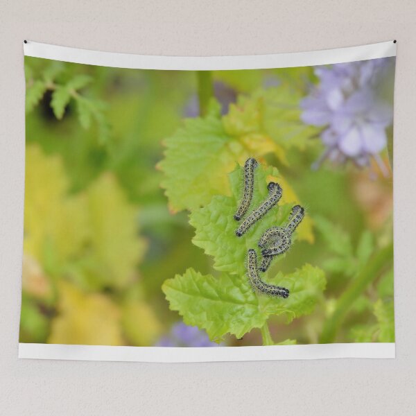 Item preview, Caterpillars designed and sold by relayer51.