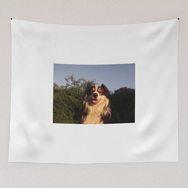 Item preview, Aye Up, Laddie! designed and sold by Michael Haslam.