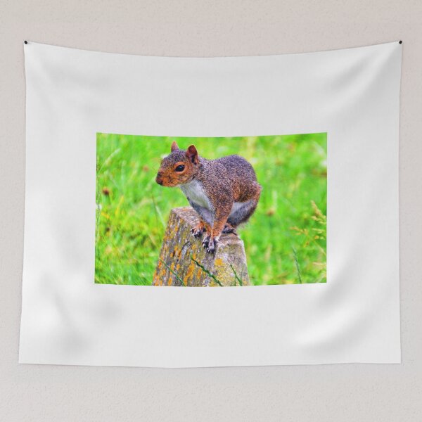 Item preview, Lookout........... designed and sold by lynn carter.