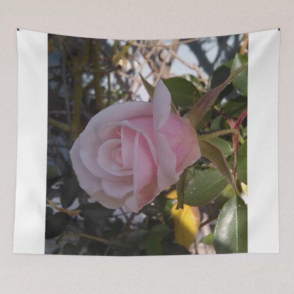Item preview, Pretty in Pink designed and sold by SA-Photos.
