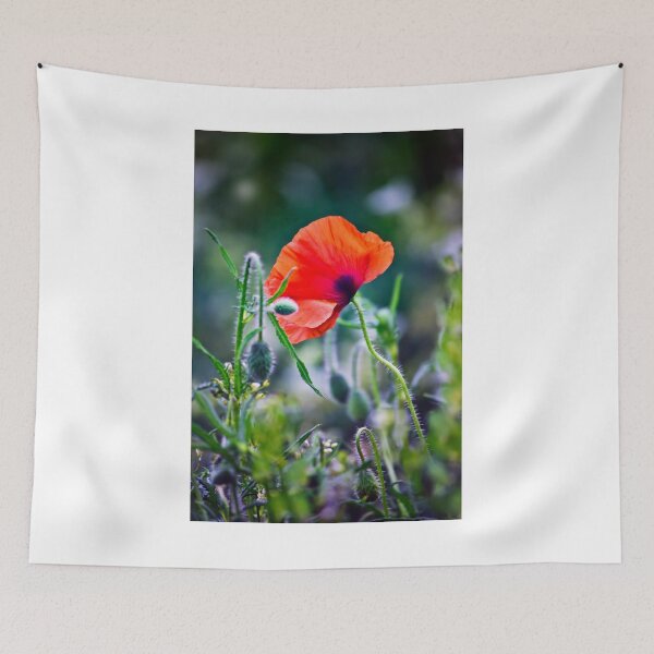 Aperçu de l'œuvre One Wild Poppy créée et vendue par Vicki Field.