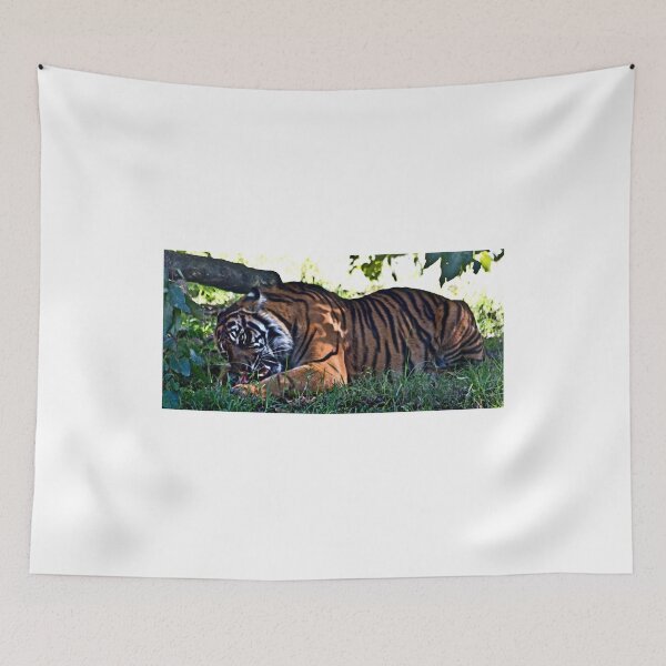 Item preview, Crunch designed and sold by miroslava.