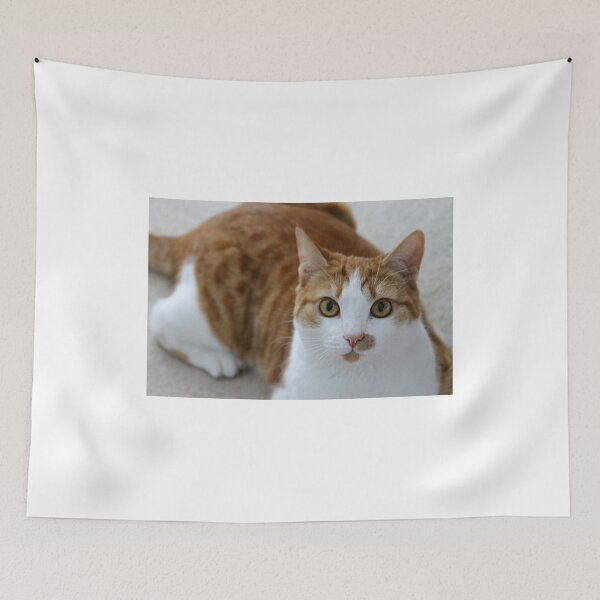 Item preview, Pix designed and sold by Ladymoose.