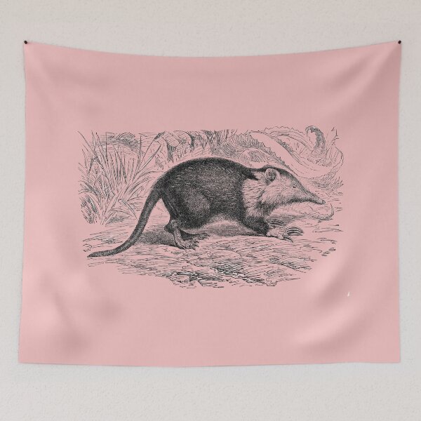 Item preview, Illustration of the Cuban solenodon designed and sold by marmur.
