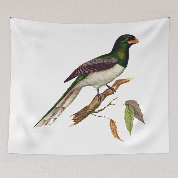 Item preview, Giant Trogon, trogon gigas designed and sold by marmur.