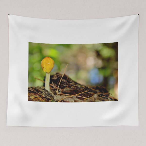 Item preview, Yellow Cap designed and sold by Kathleen Daley.