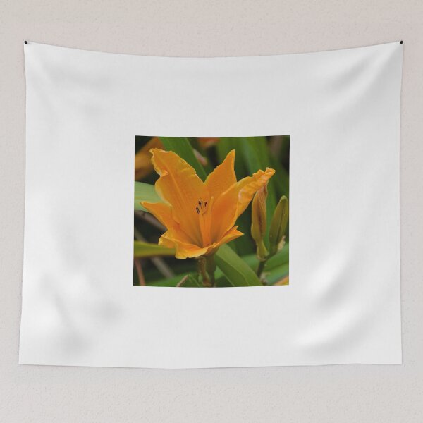 Item preview, Vibrant Orange Lily designed and sold by lynn carter.