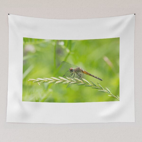 Item preview, Harvest Dragon designed and sold by EugeJ.